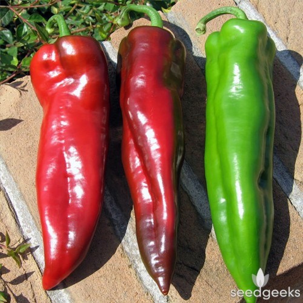 Семена Перца Корно Ди Торо Купить