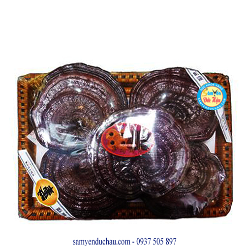 TPCN: Nấm Linh Chi Đỏ Hàn Quốc 5 tai/1kgs(NAM4)