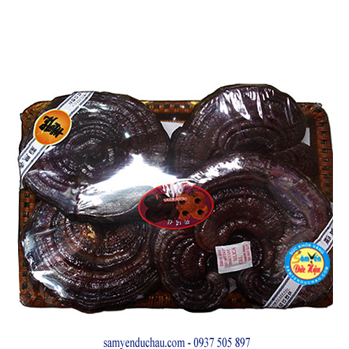 TPCN: Nấm Linh Chi Đỏ Hàn Quốc 4 tai/1kg