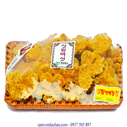 TPCN:Nấm Thượng Hoàng Núi VIP - 0.5 KG