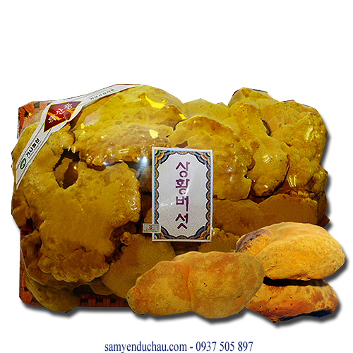 TPCN: Nấm Thượng Hoàng Hàn Quốc 1kg (NAM1)