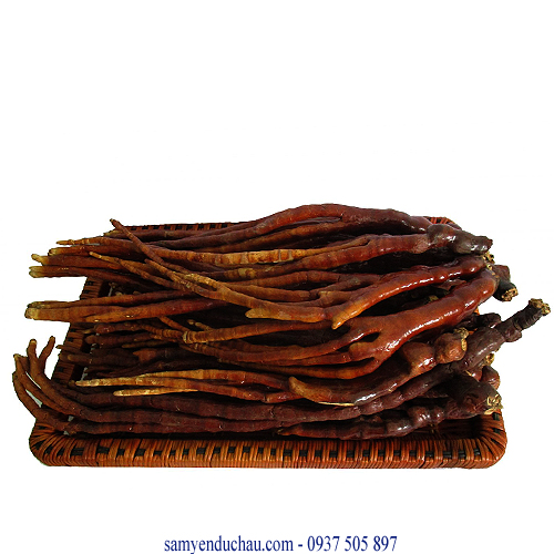 TPCN: Nấm Linh Chi Sừng Hươu 0.5KG