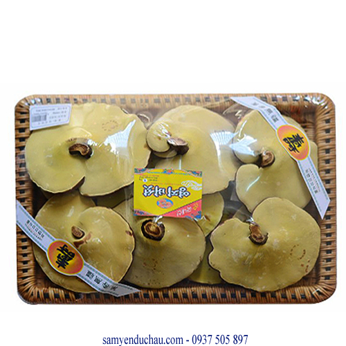 TPCN: Nấm Linh Chi Vàng 1Kg