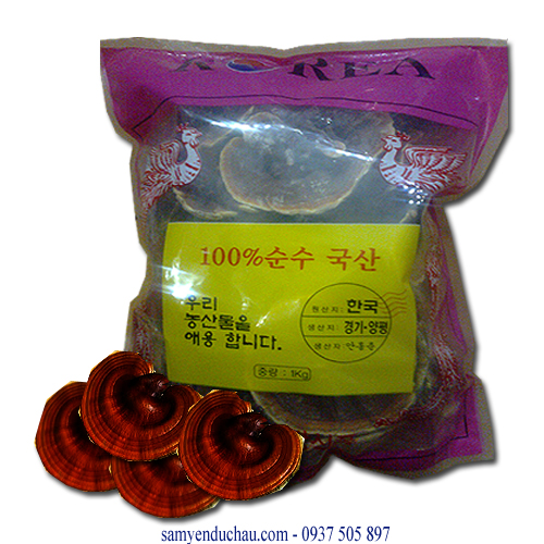 TPCN: Nấm Linh Chi Núi Đá Gana Hàn Quốc 0.5kg (NAM14)