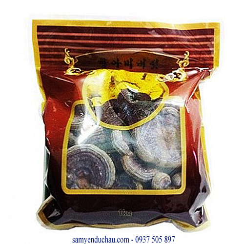 nấm linh chi núi đá đá đỏ hàn quốc