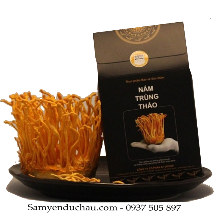 TPCN:Nấm Đông Trùng 50gr