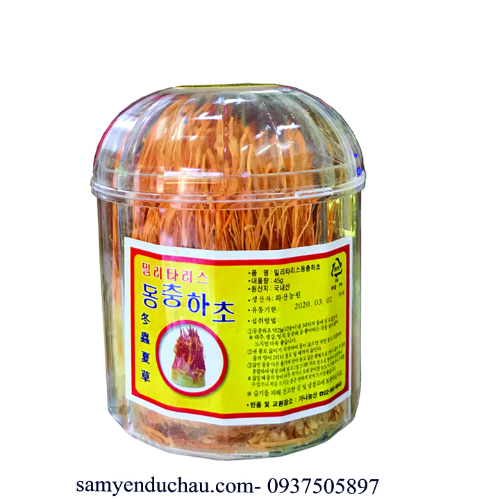 TPCN:Đông Trùng Hạ Thảo Tươi Dạng Sợi Hàn Quốc 45g
