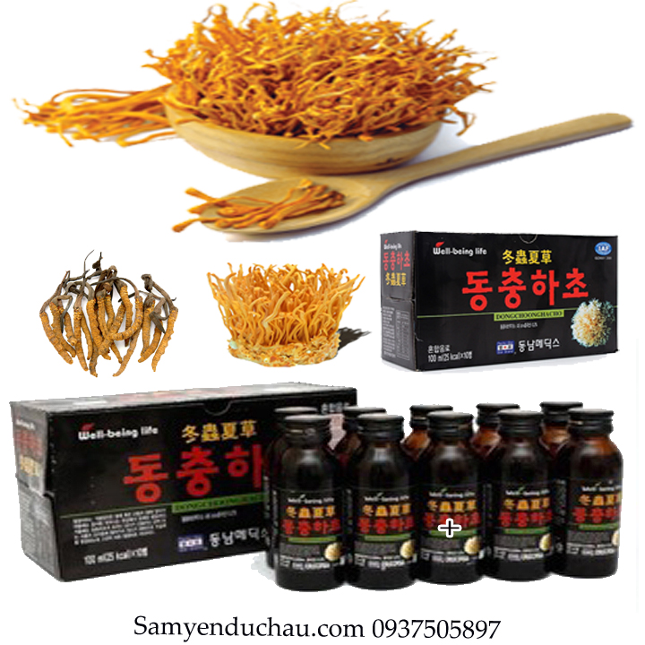 TPCN : Nước Uống Đông Trùng Hạ Thảo Wellbeing Dong Nam 10 chai
