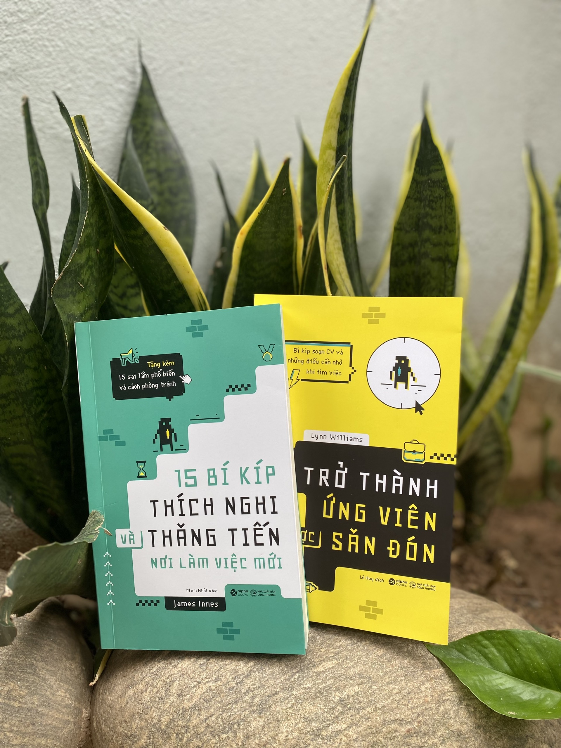 Combo Trở Thành Ứng Viên Được Săn Đón & 15 Bí Kíp Thích Nghi Và Thăng Tiến Nơi Làm Việc Mới