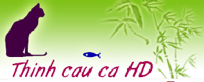 Đồ câu cá - Thính câu cá