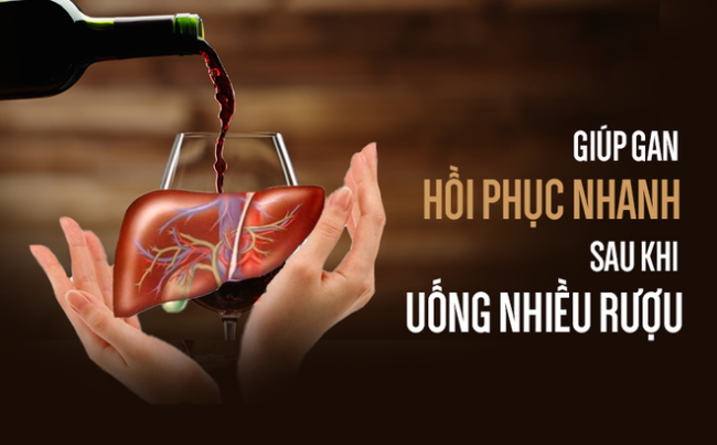 CÁCH GIÚP GAN PHỤC HỒI KHI UỐNG NHIỀU RƯỢU Dược Sanfo