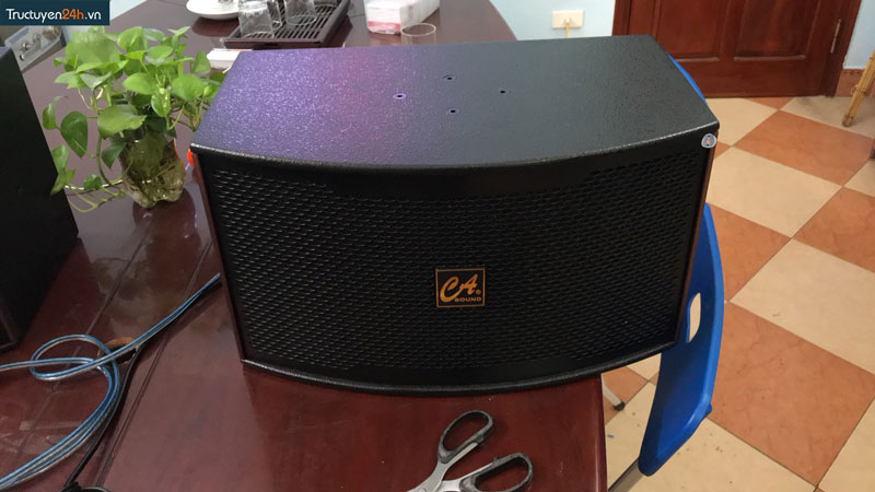Bộ đôi 2 loa karaoke CAsound K310
