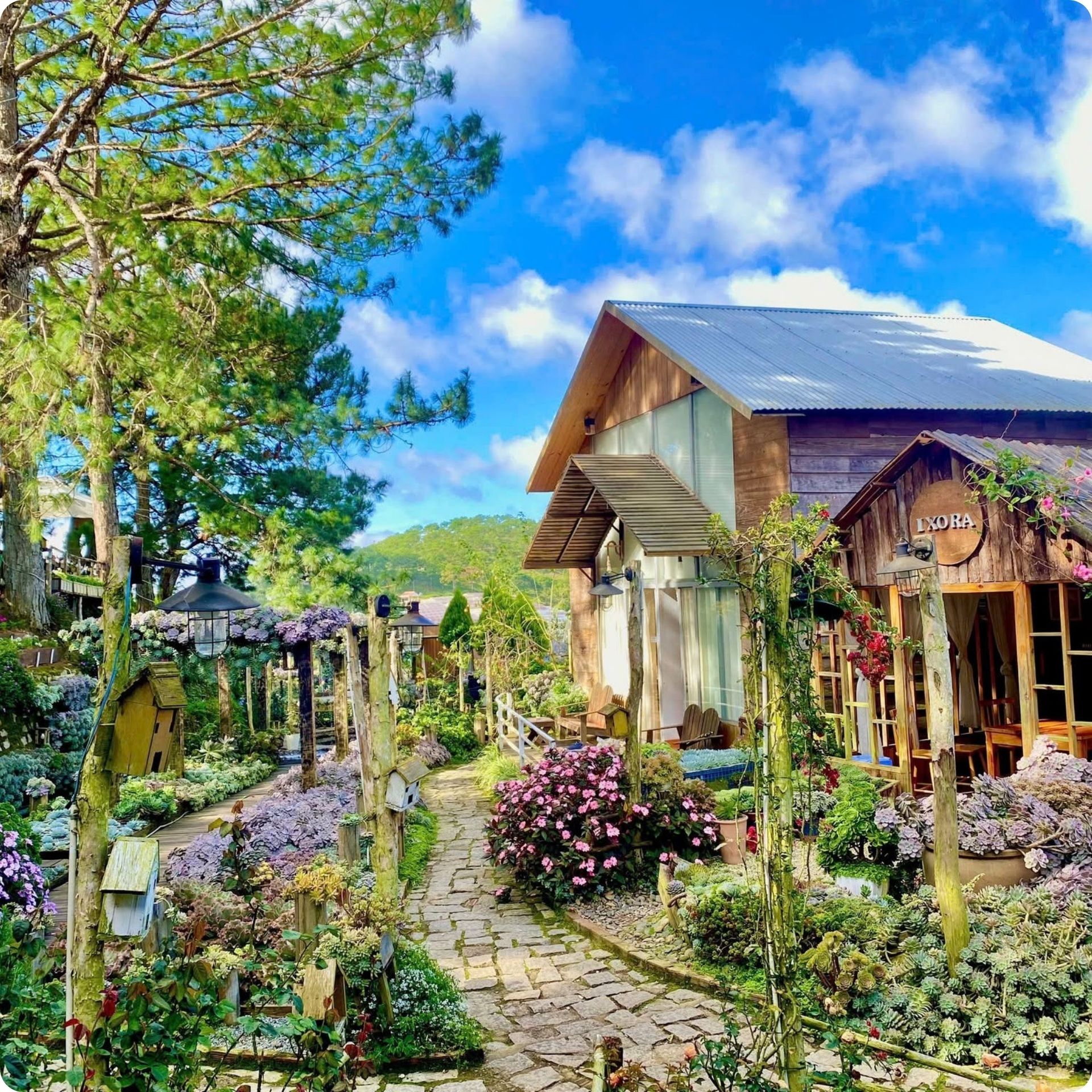 Tour 1 Ngày Chạm Nhẹ Thiên Nhiên Giữa Lòng Đà Lạt