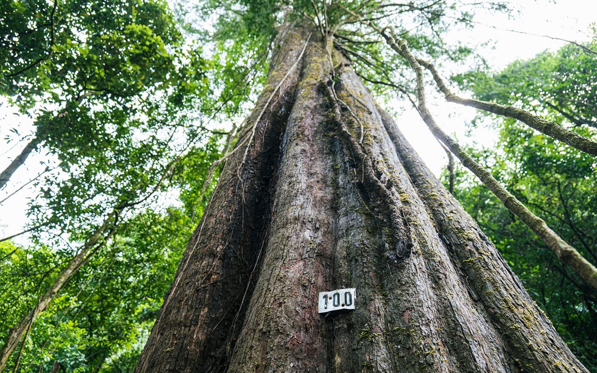 Tour 4N3D Từ Buôn Mê Thuột Đến Đà Lạt