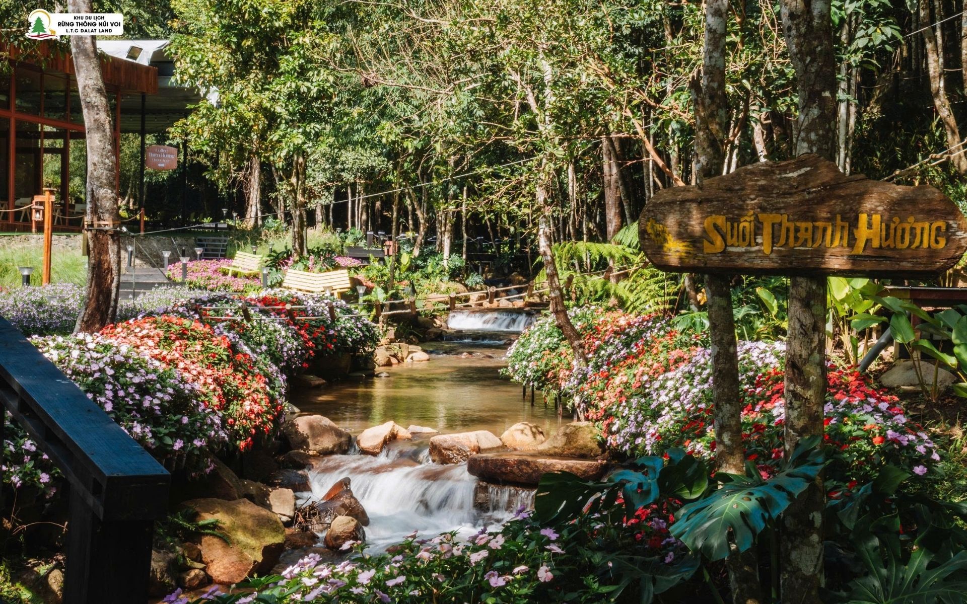 Tour 4N3D Từ Buôn Mê Thuột Đến Đà Lạt