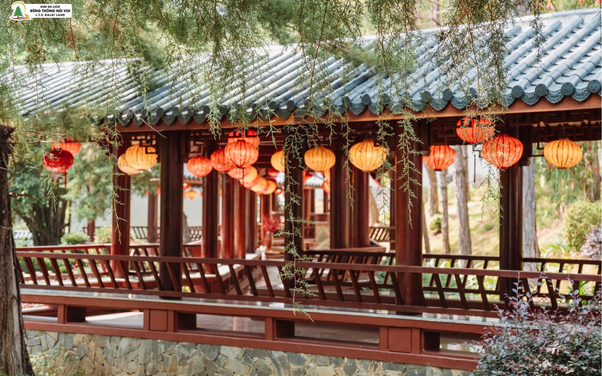 Tour 5N4D Rừng Và Biển