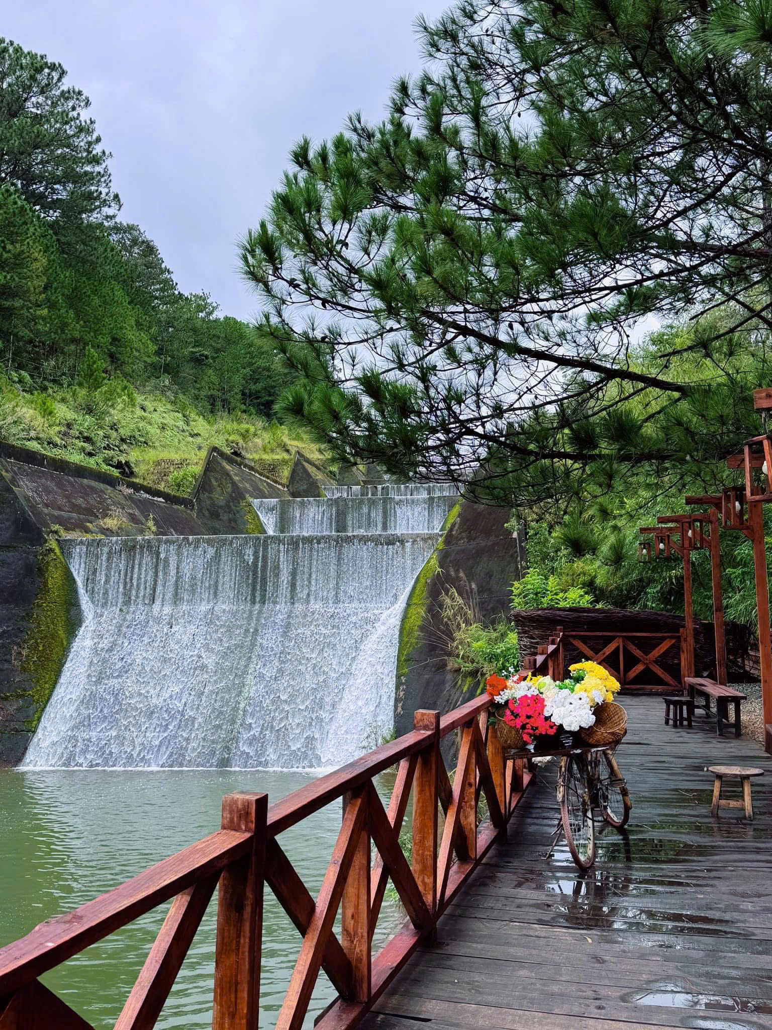 Tour 5N4D Rừng Và Biển