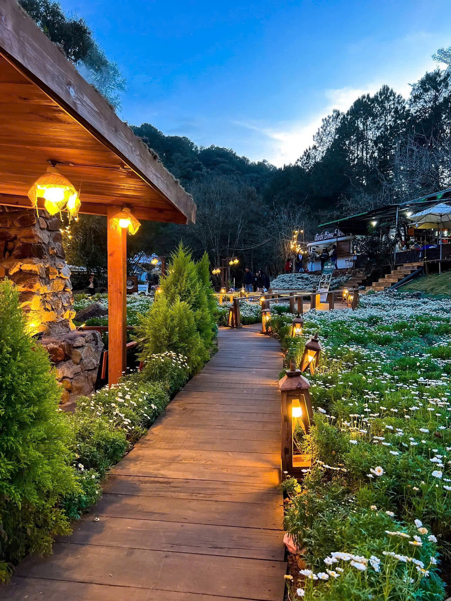 Tour 1 Ngày Phiêu Lãng Thiên Nhiên