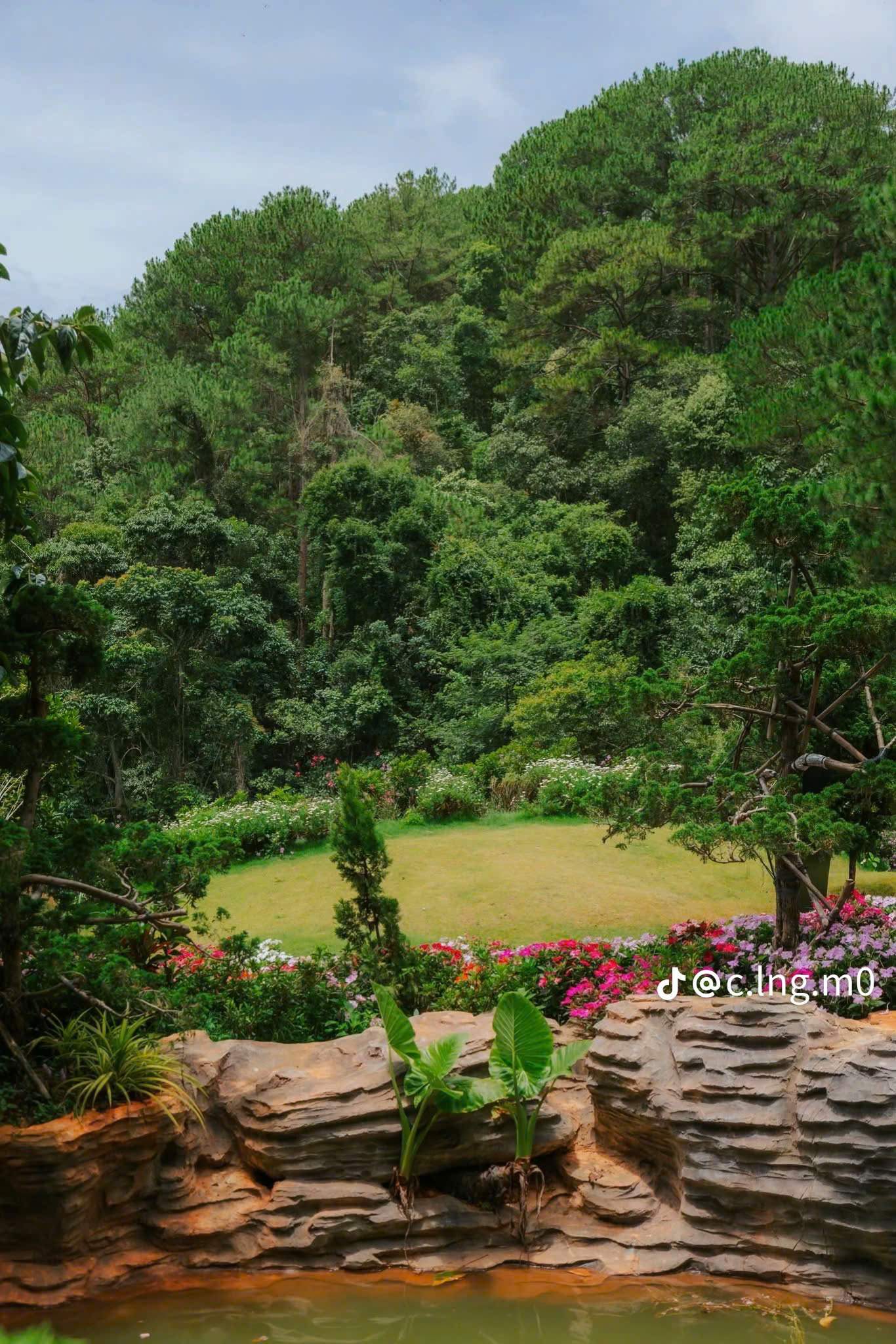 Tour 3N2D: Hành Trình Du Ngoạn Đà Lạt 3N2D