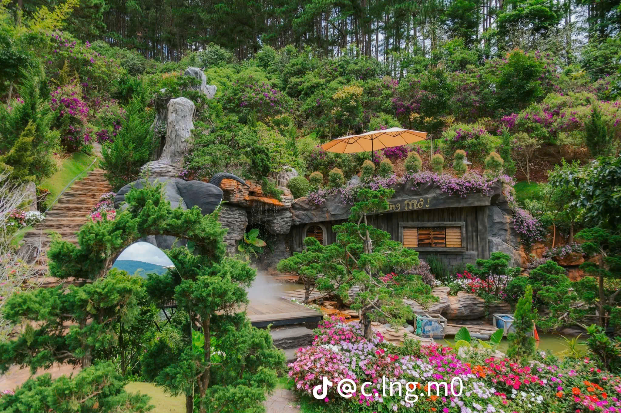 Tour 3N2D: Hành Trình Du Ngoạn Đà Lạt 3N2D