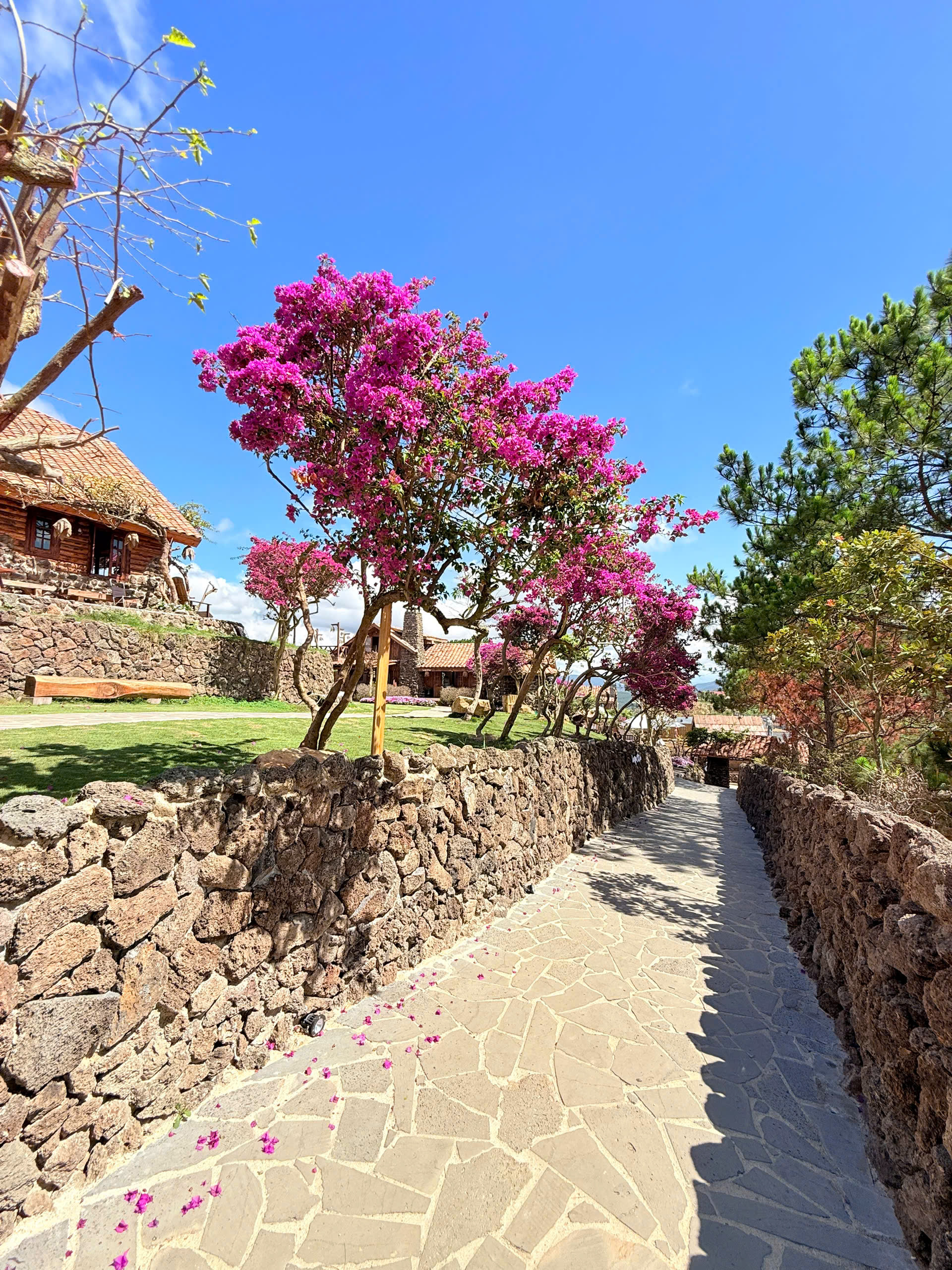 Tour 4N3D Tâm Về Miền Cao Nguyên