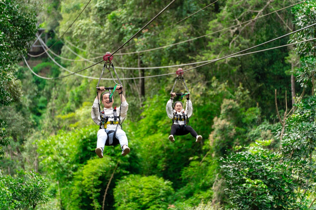 Tour 1 Ngày Phiêu Lãng Thiên Nhiên