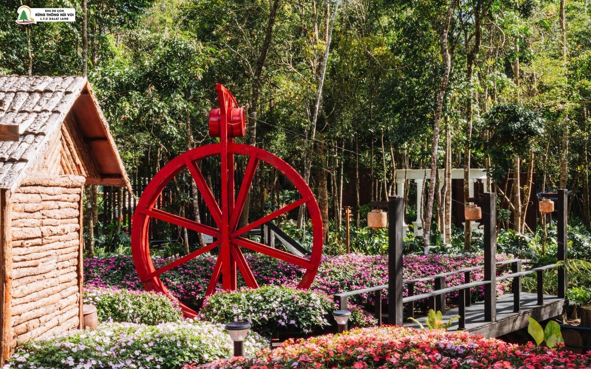 Tour 4N3D Từ Buôn Mê Thuột Đến Đà Lạt