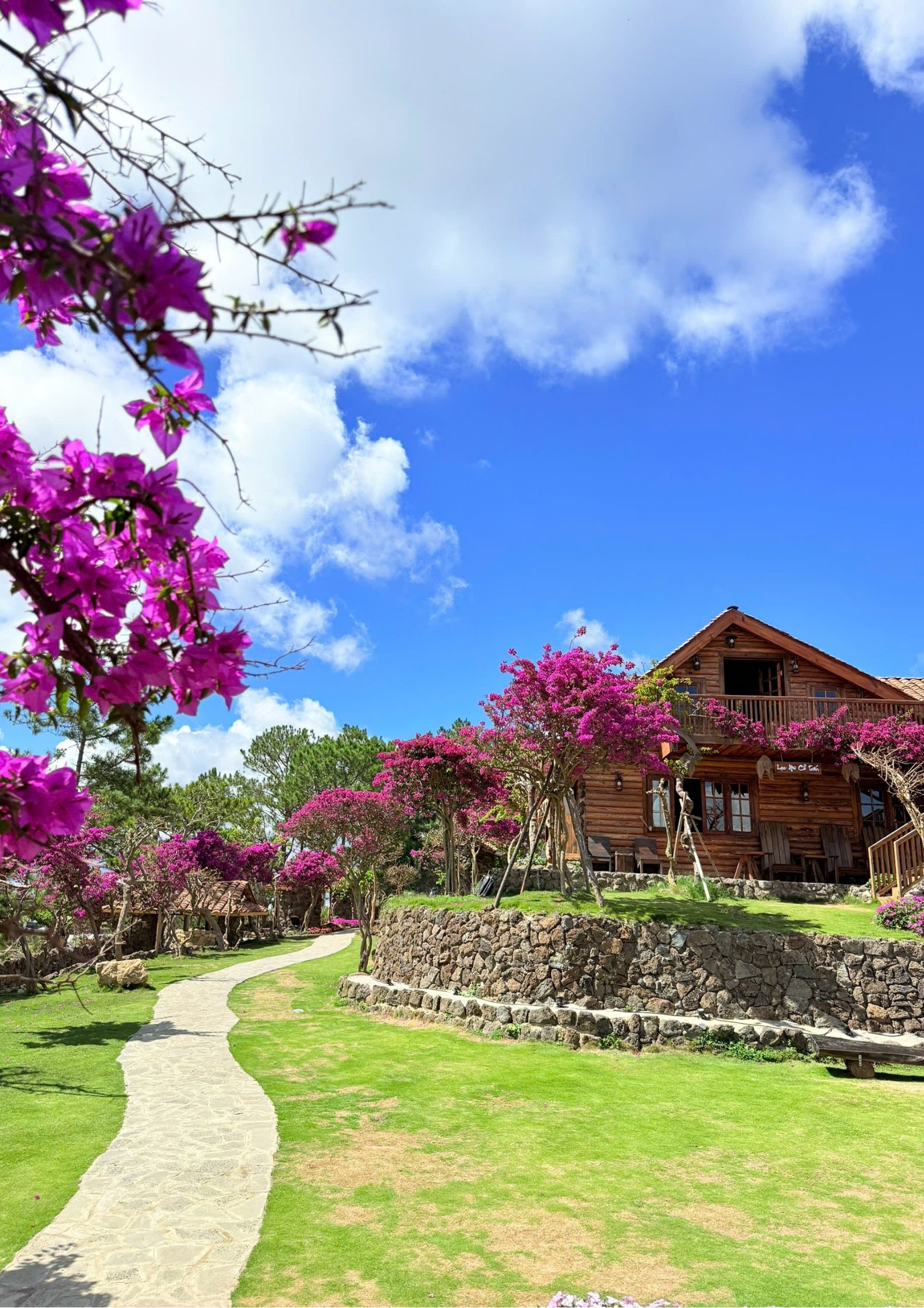 Tour 5N4D Chơi Thả Ga Biển Và Núi Rừng