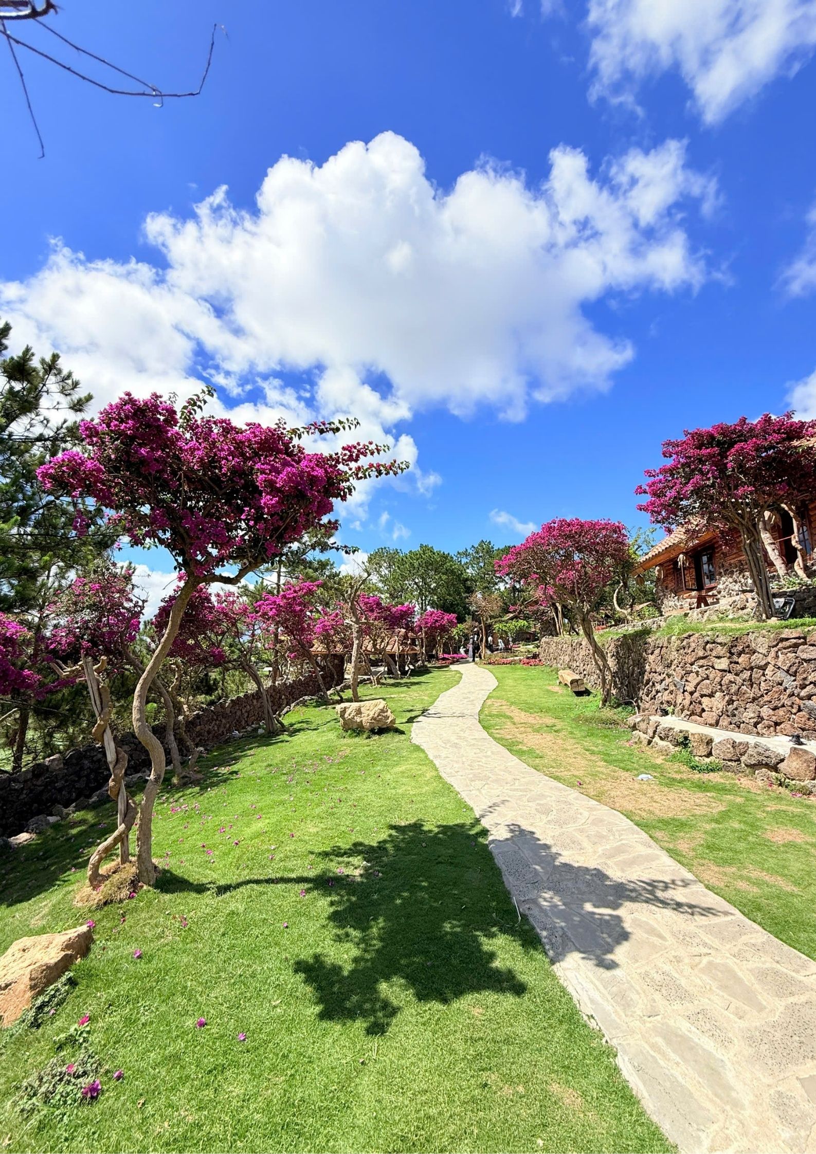 Tour 2N1D Tâm Chạm Mây Tay Chạm Thông