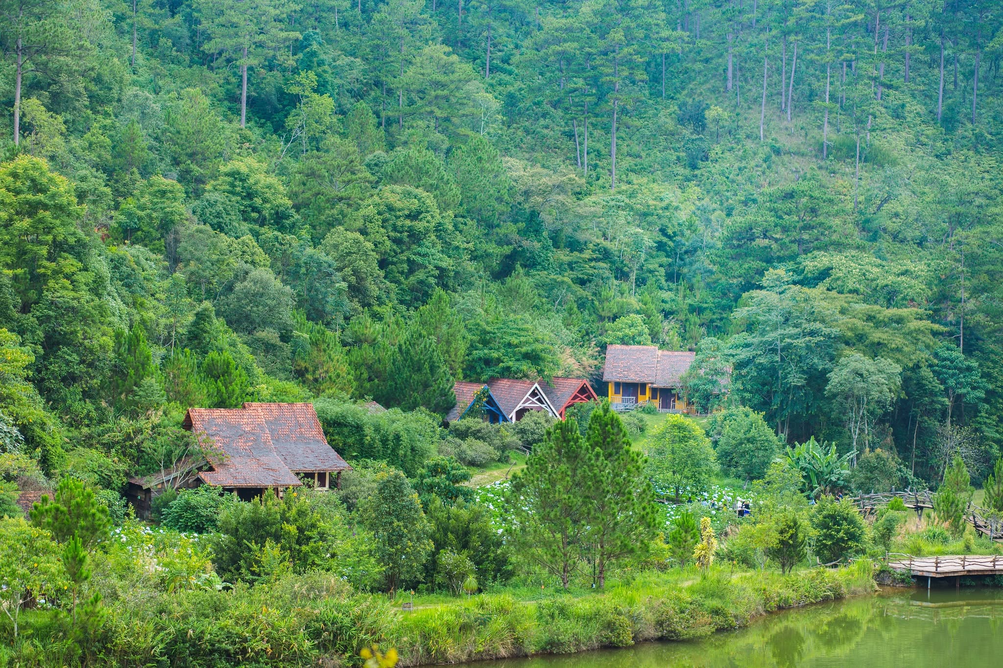 Tour 2N1D La Cà 2 Ngày Đà Lạt