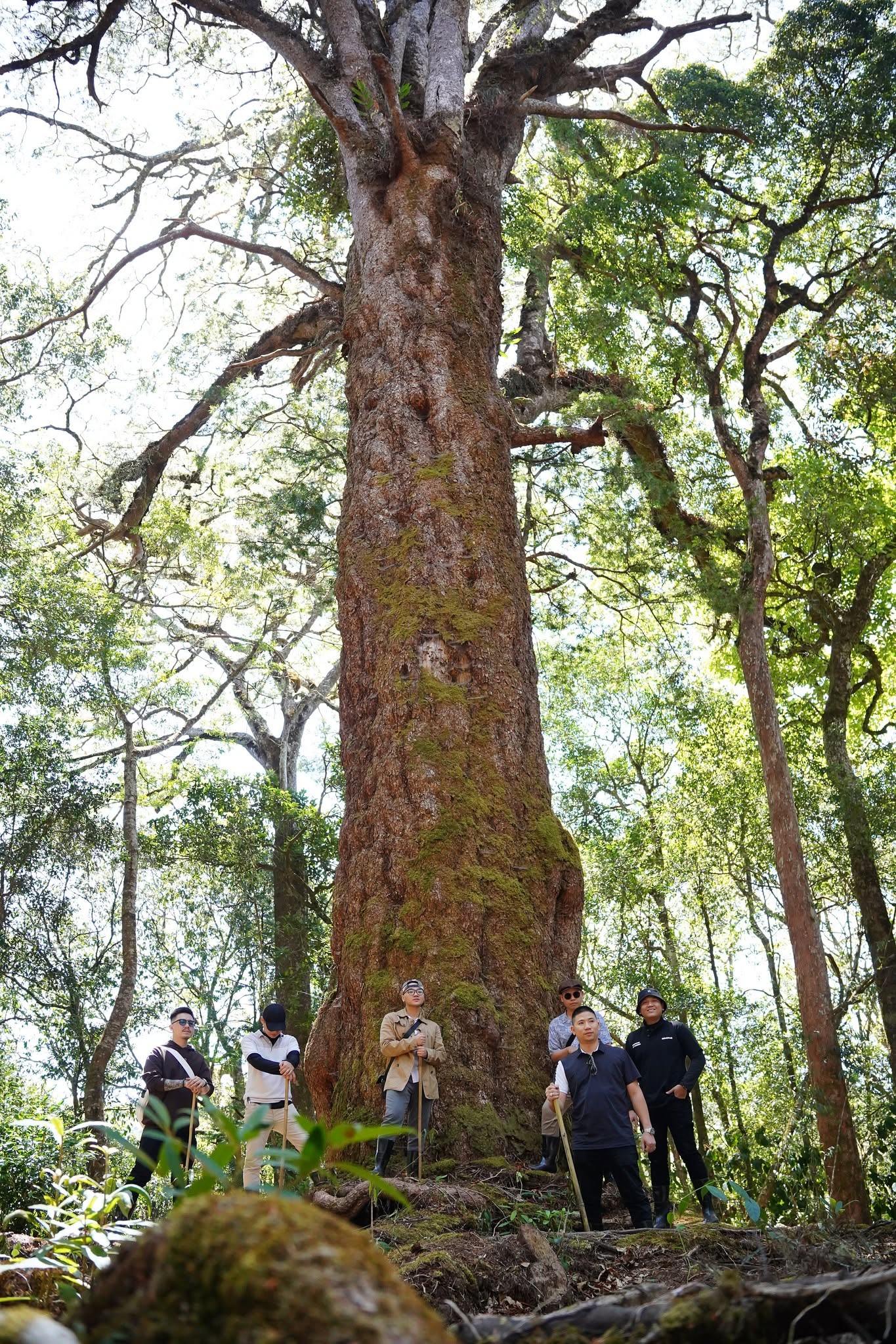 Tour 1 Ngày Làng Cù Lần