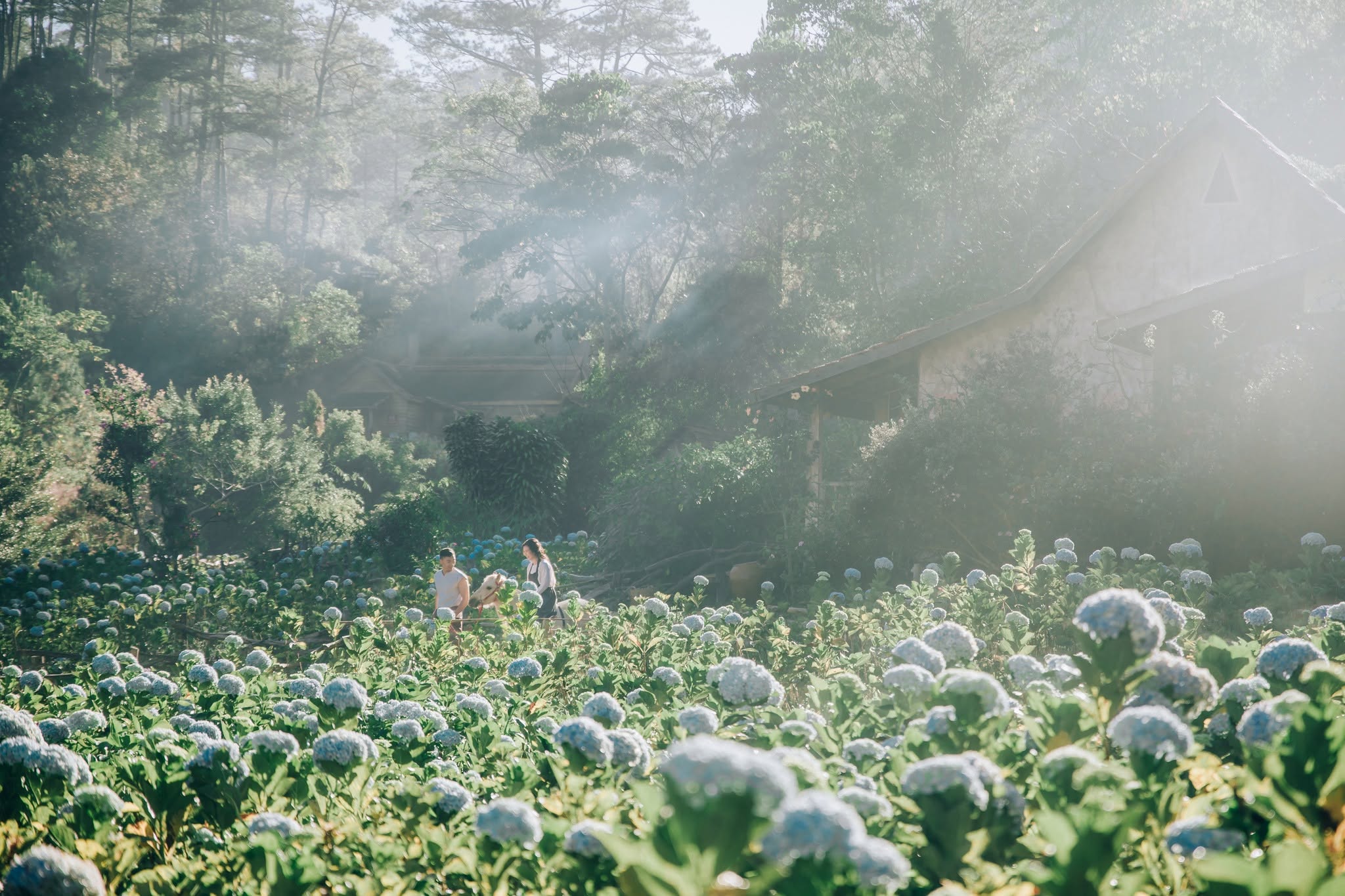 Tour 1 Ngày Làng Cù Lần
