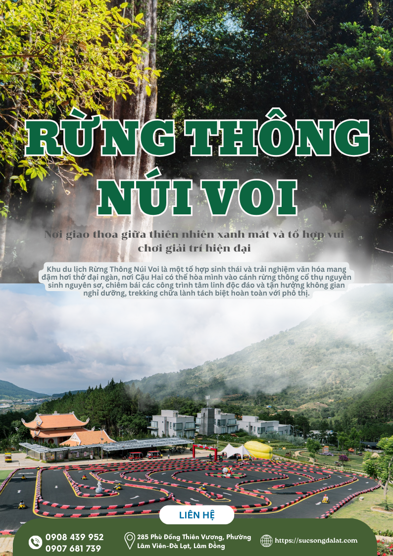 VÉ THAM QUAN TỔ HỢP VUI CHƠI GIẢI TRÍ RỪNG THÔNG NÚI VOI