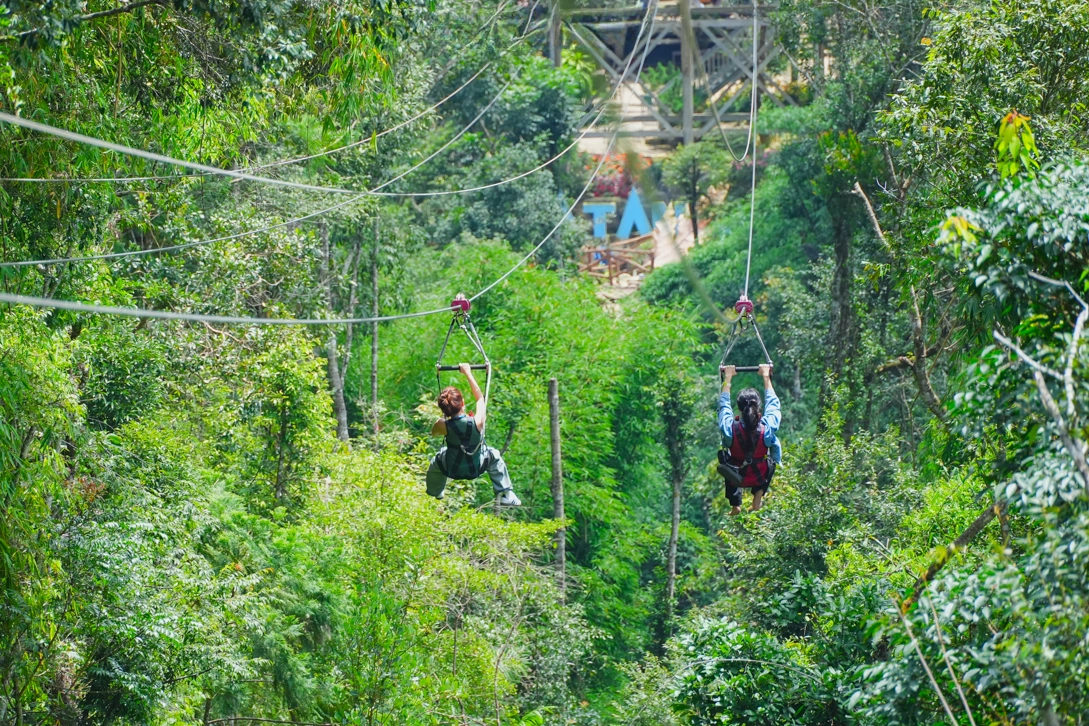 Tour 1 Ngày Phiêu Lãng Thiên Nhiên