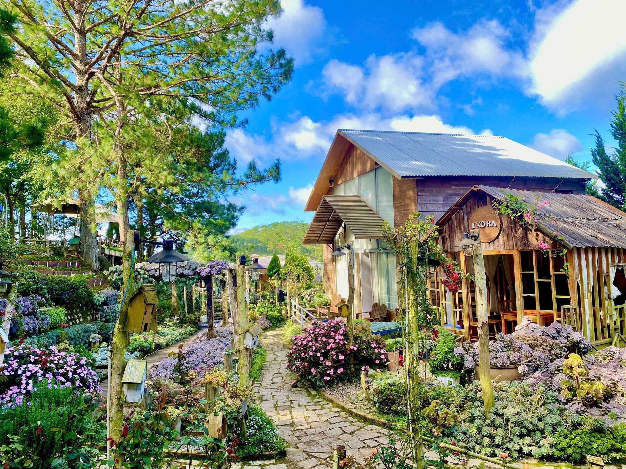 Tour 3N2D Thanh Xuân Trên Cao Nguyên