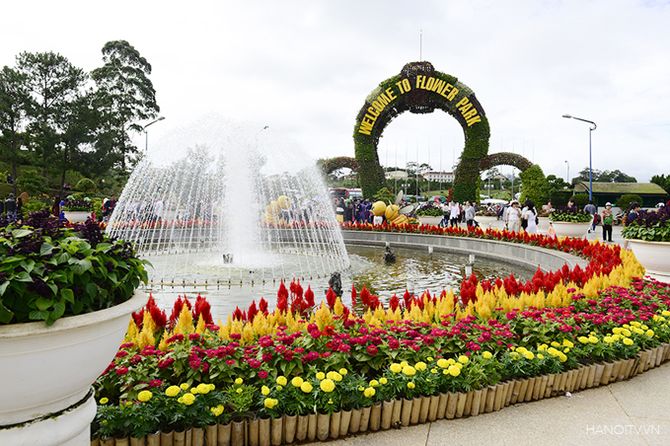 Tour 2N1D Rừng Và Hoa Đà Lạt