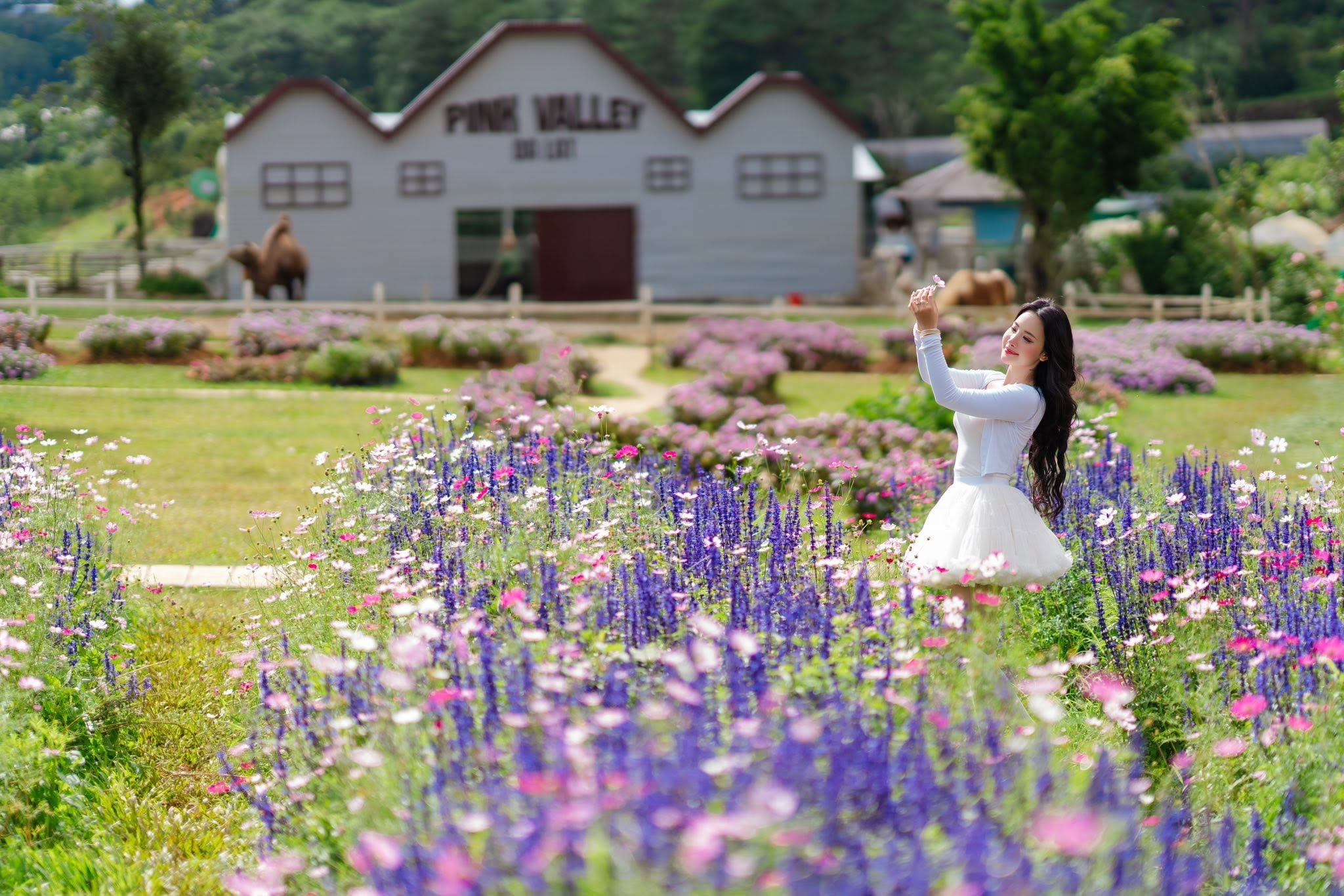 Tour 3N2D Tâm Giao Miền Mộng