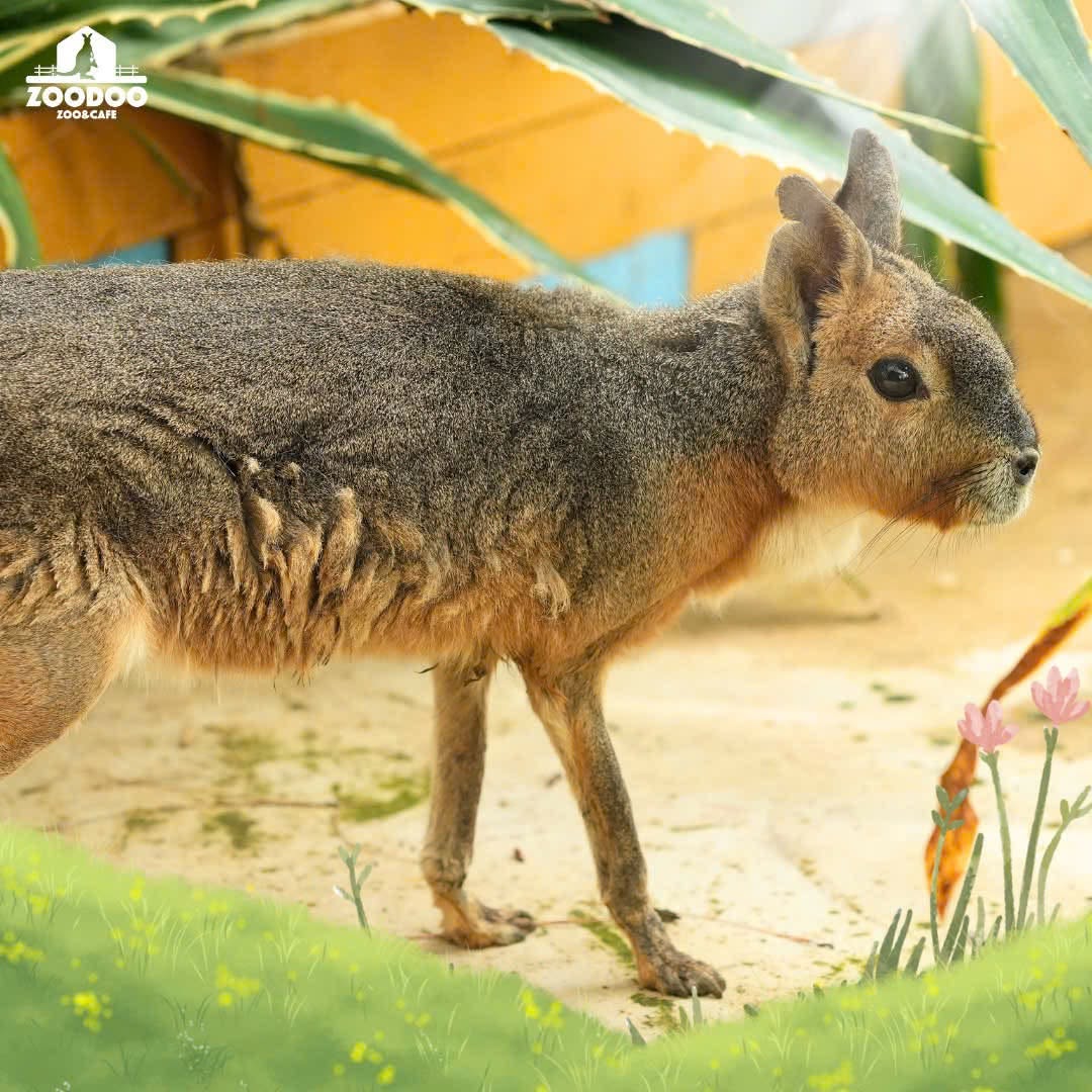Tour 5N4D Chơi Hết Mình Ở Đà Lạt 5 Ngày