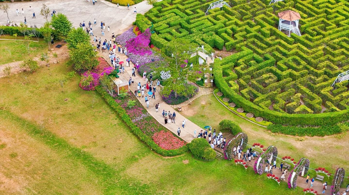 Tour 2N1D Rừng Và Hoa Đà Lạt