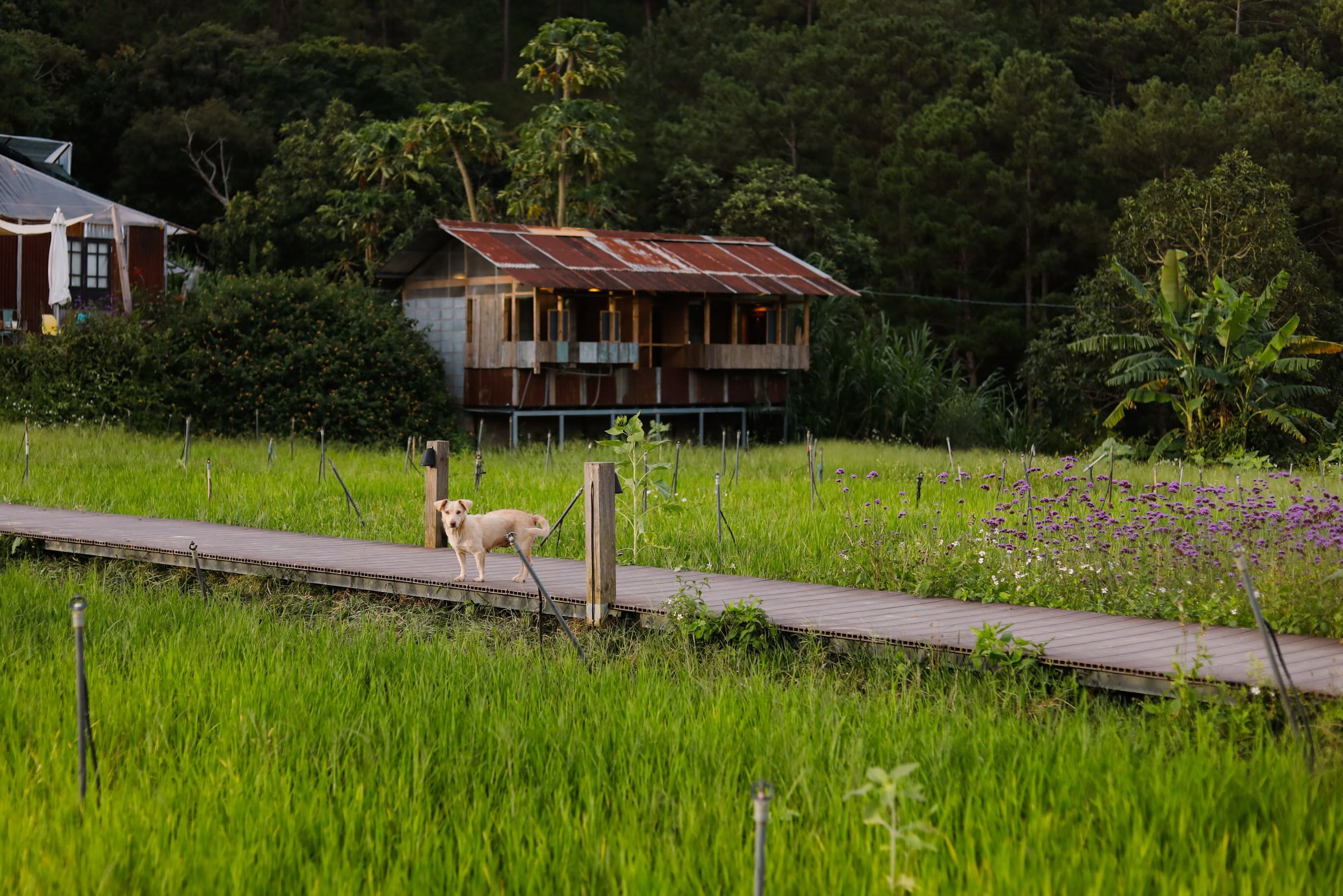 Tour 2N1D Tâm Chạm Mây Tay Chạm Thông