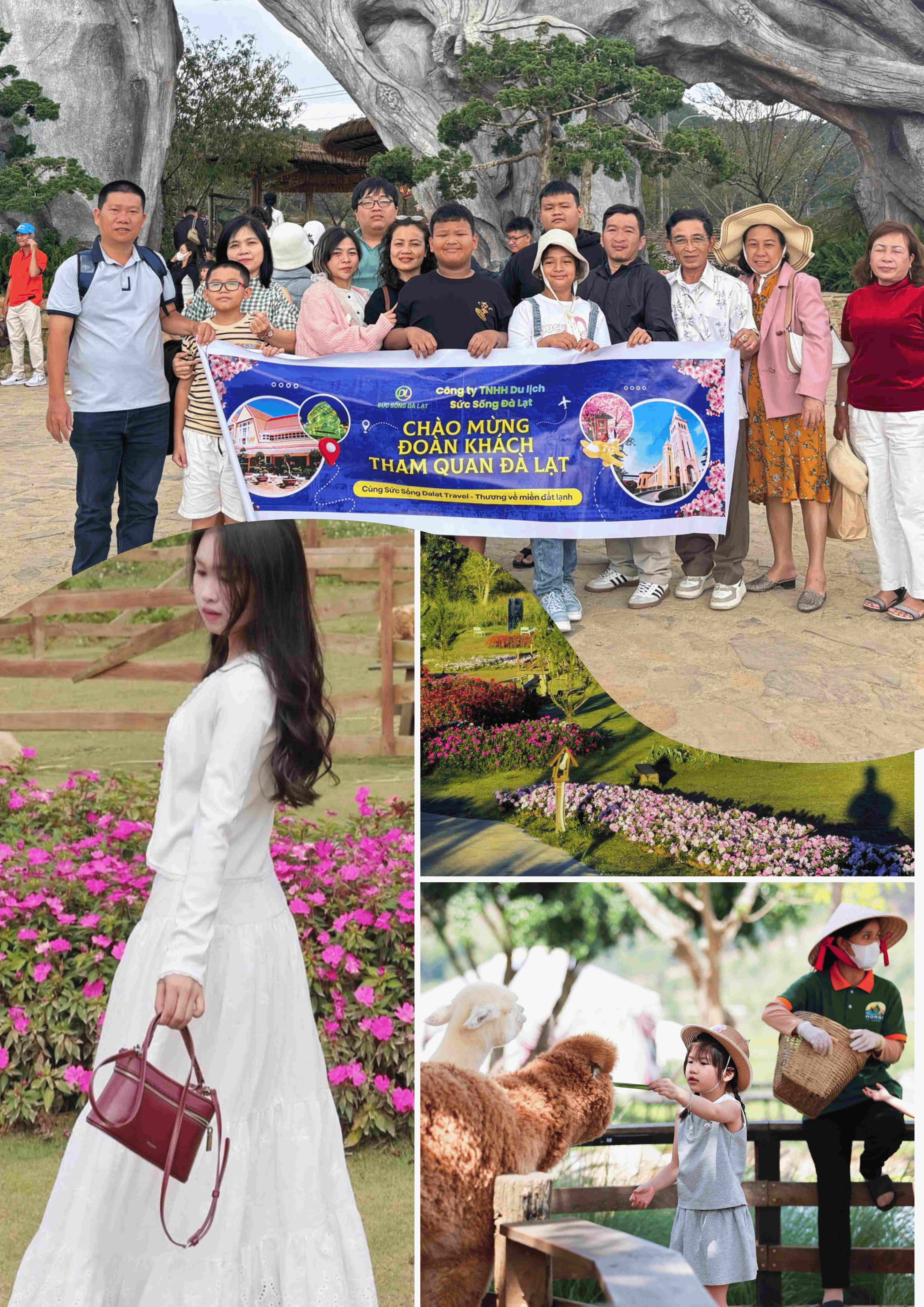 ĐÀ LẠT MIỀN ĐẤT LÀNH GỌI TÊN  - ĐÓN SÂN BAY CAM RANH | 3 NGÀY 2 ĐÊM