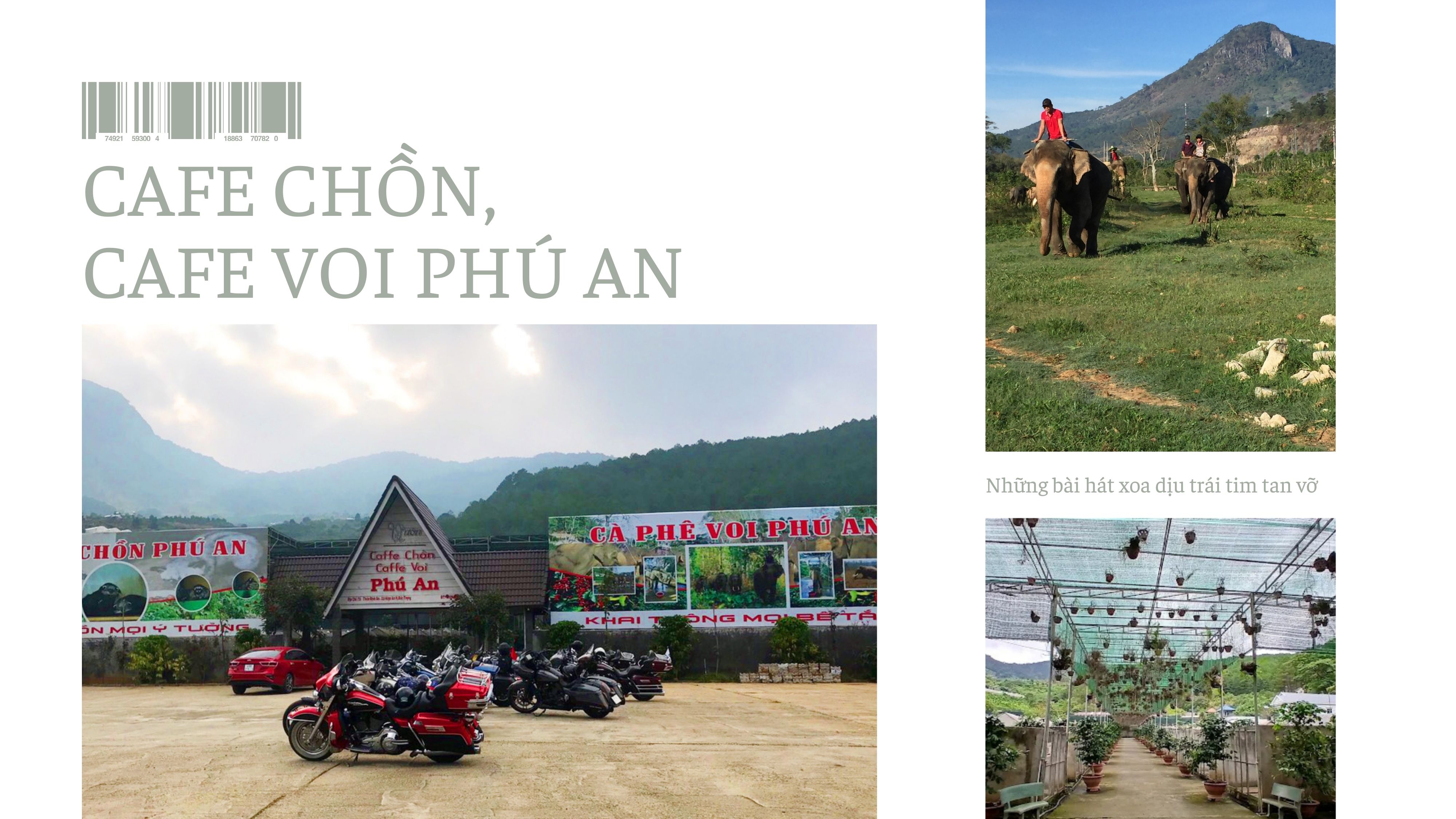 CHIÊM NGƯỠNG THÁP KINH LUÂN – SAMTEN HILLS ĐÀ LẠT  | TOUR 1 NGÀY