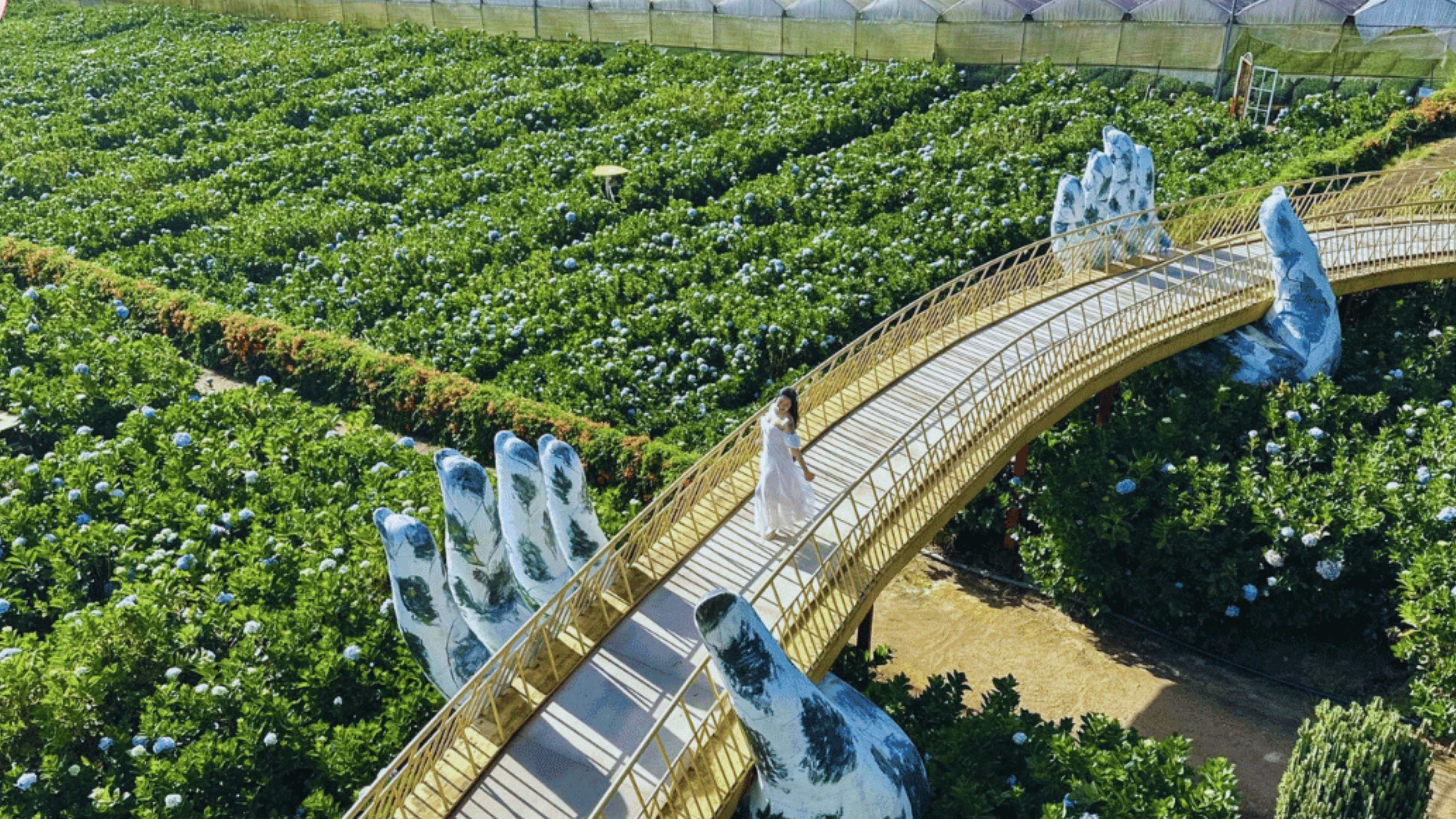 TOUR ĐÀ LẠT 4:00 AM - THỨC GIẤC GIỮA NGÀN HOA