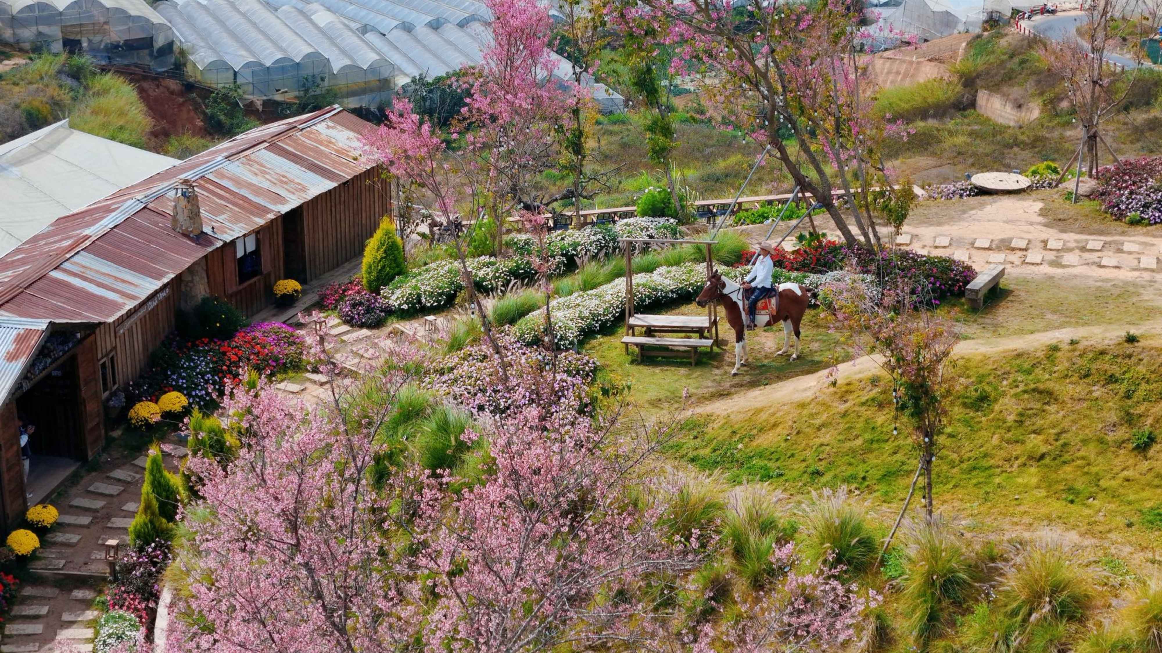 CHẠM ĐÀ LẠT | TOUR 1 NGÀY