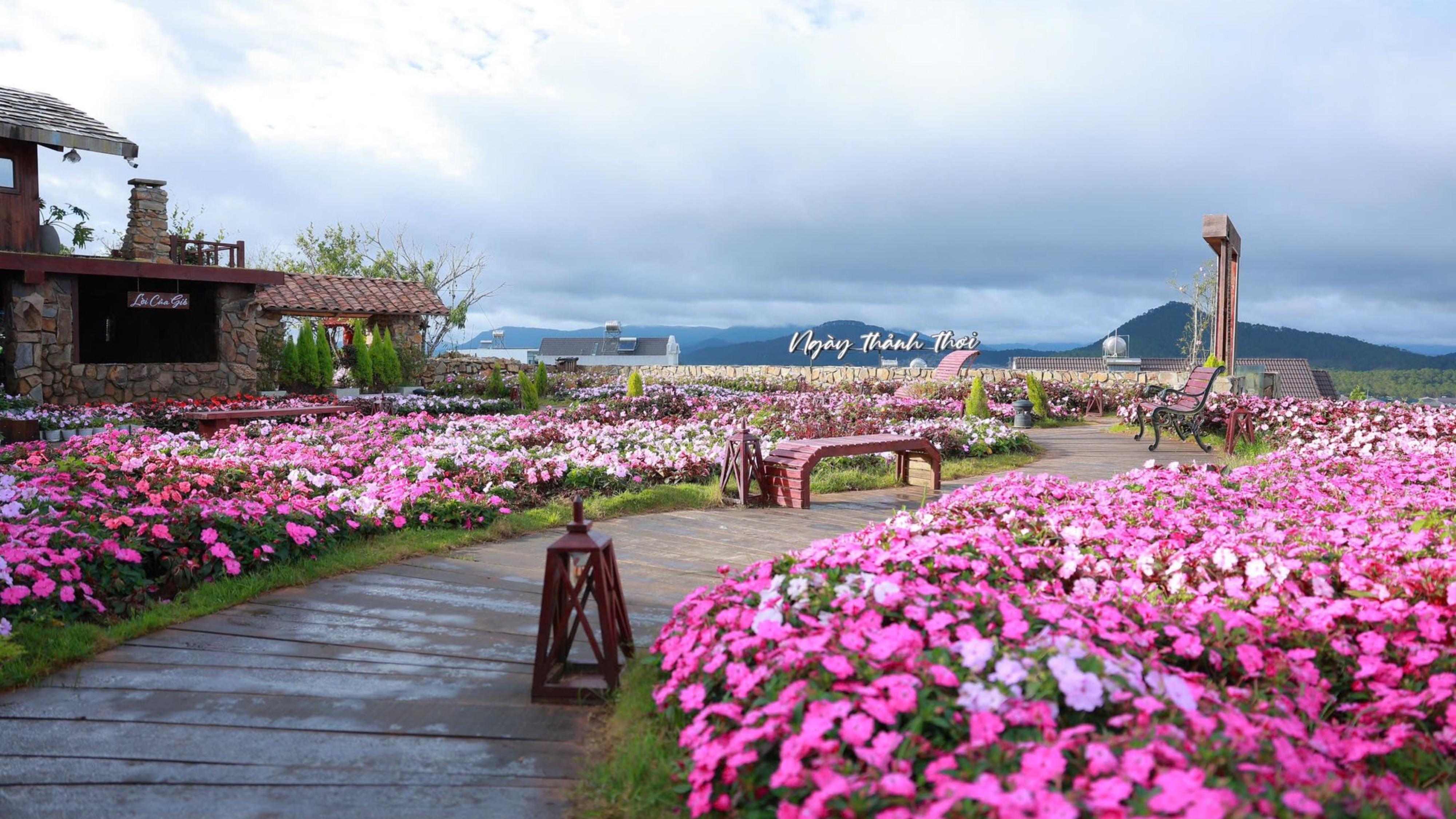 LẠC GIỮA GIẤC MƠ HOA | TOUR 1 NGÀY