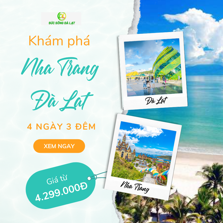 Tour Du Lịch Nha Trang - Đà Lạt 4 Ngày 3 Đêm – CÔNG TY TNHH DU LỊCH SỨC SỐNG DALAT Tour Du Lịch Nha Trang - Đà Lạt 4 Ngày 3 Đêm – Công Ty Tnhh Du Lịch Sức Sống Dalat