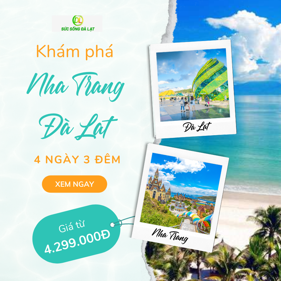 Tour Du Lịch Nha Trang - Đà Lạt 4 Ngày 3 Đêm – Công Ty Tnhh Du Lịch Sức  Sống Dalat