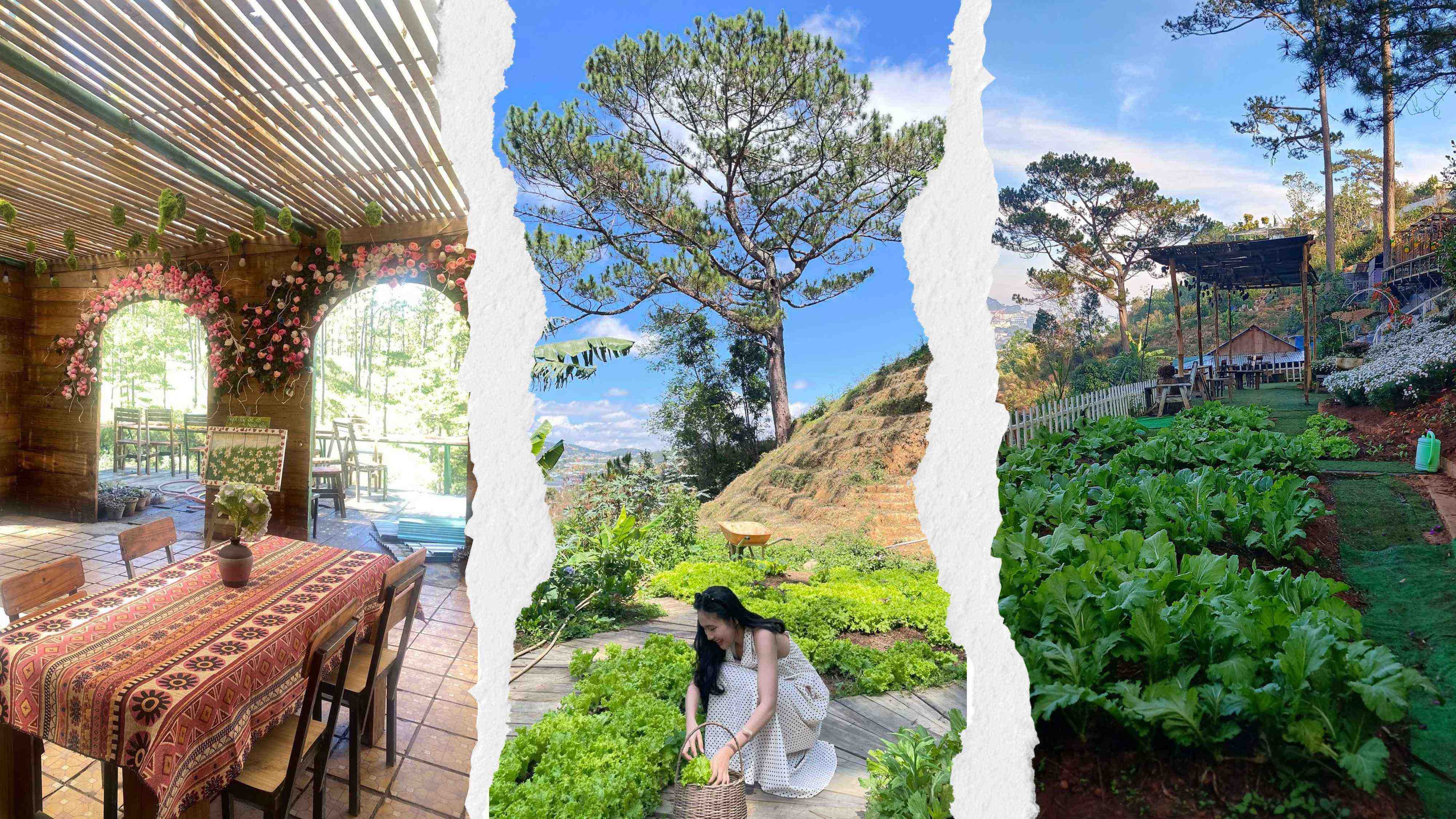 TOUR SẮC MÀU ĐÀ LẠT: KHÁM PHÁ DI SẢN & THIÊN NHIÊN I TOUR 1 NGÀY