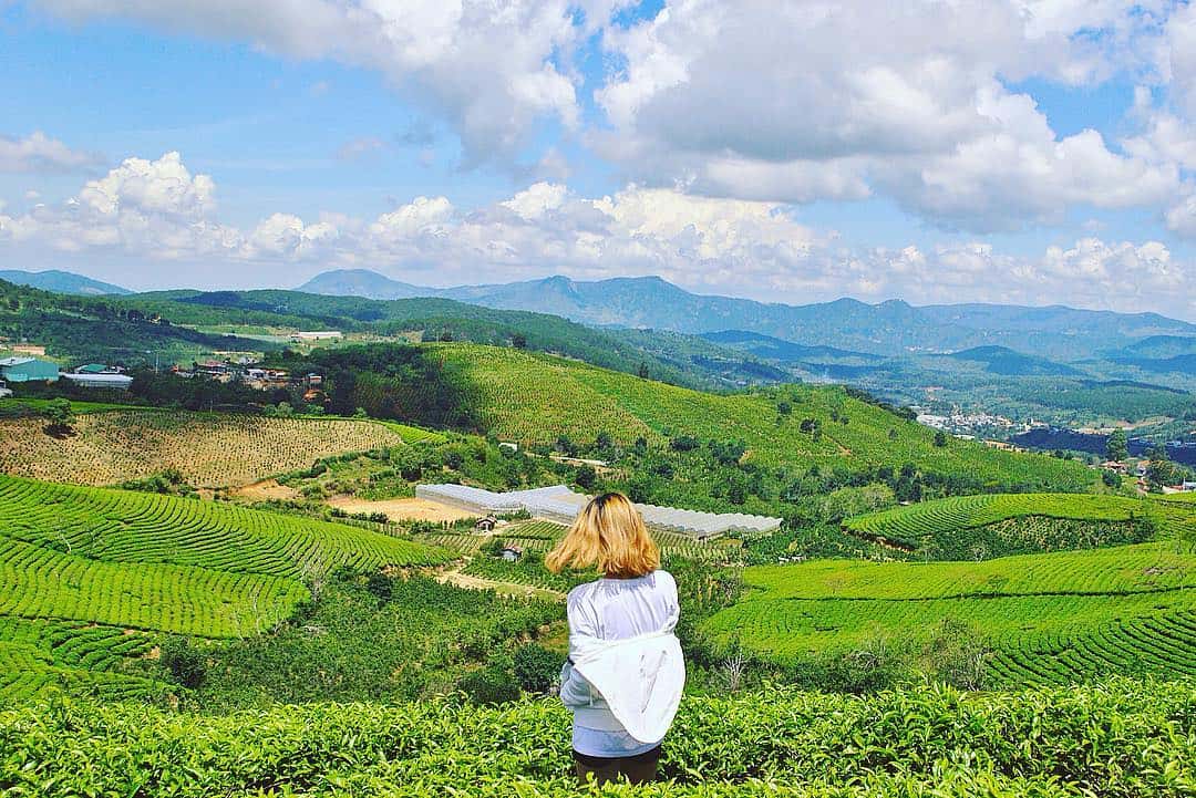 Tour 2N1D Xách Balo Lên Đà Lạt