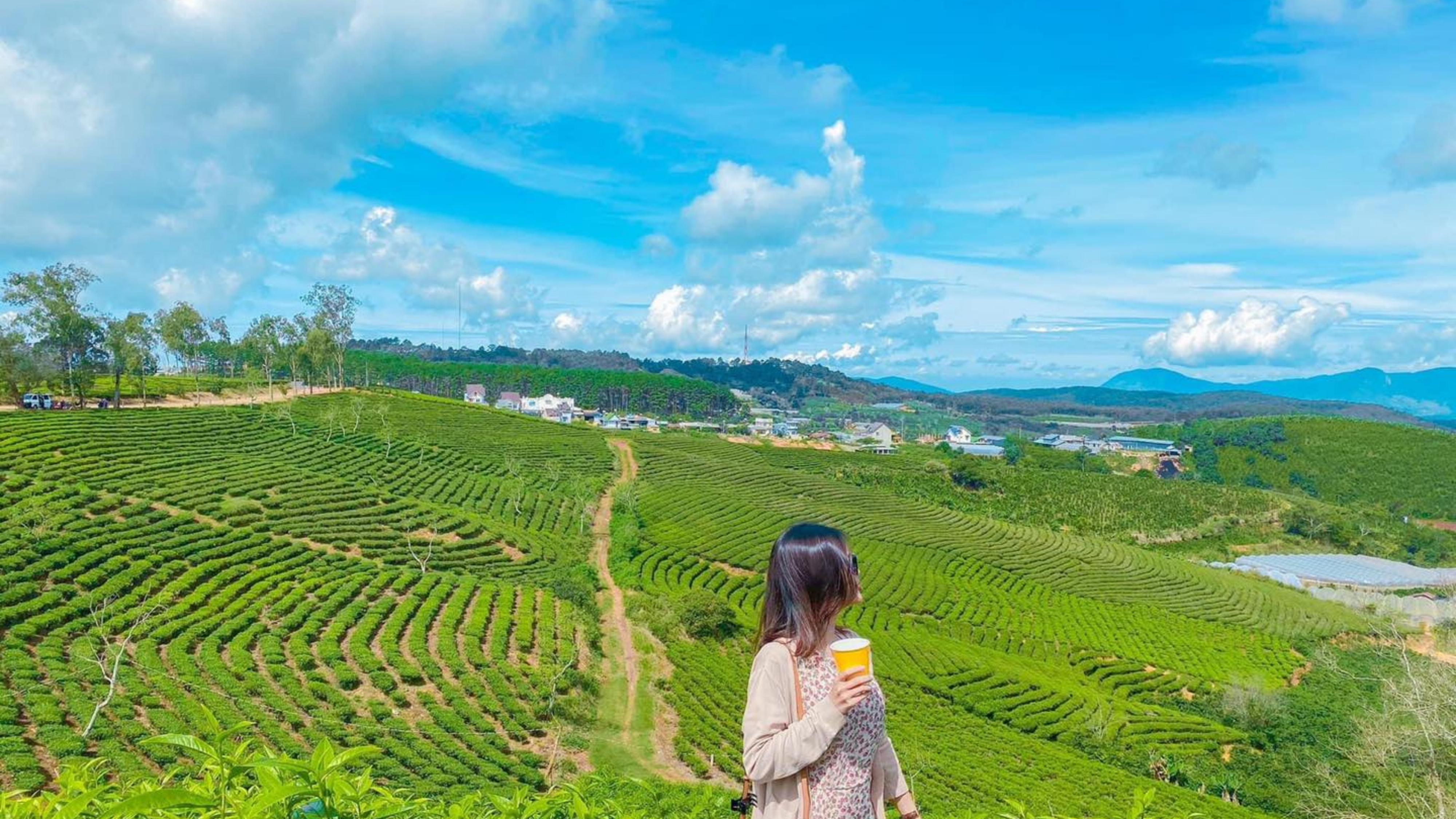 TOUR ĐÀ LẠT 4:00 AM - THỨC GIẤC GIỮA NGÀN HOA